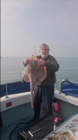 20 lb Undulate Ray by Chesilbaitntackle