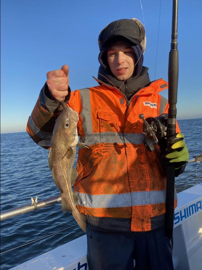 2 lb 8 oz Cod by Unknown