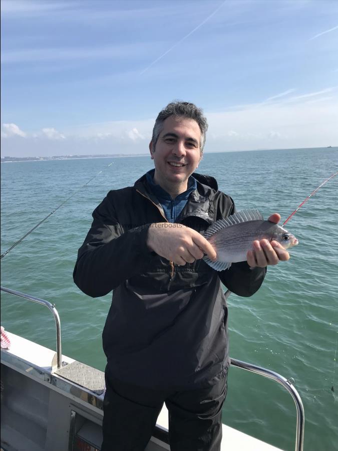 1 lb Black Sea Bream by Ali