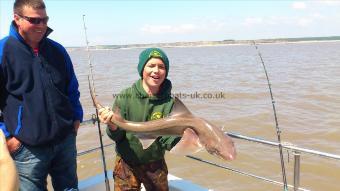 11 lb 8 oz Starry Smooth-hound by rob turley