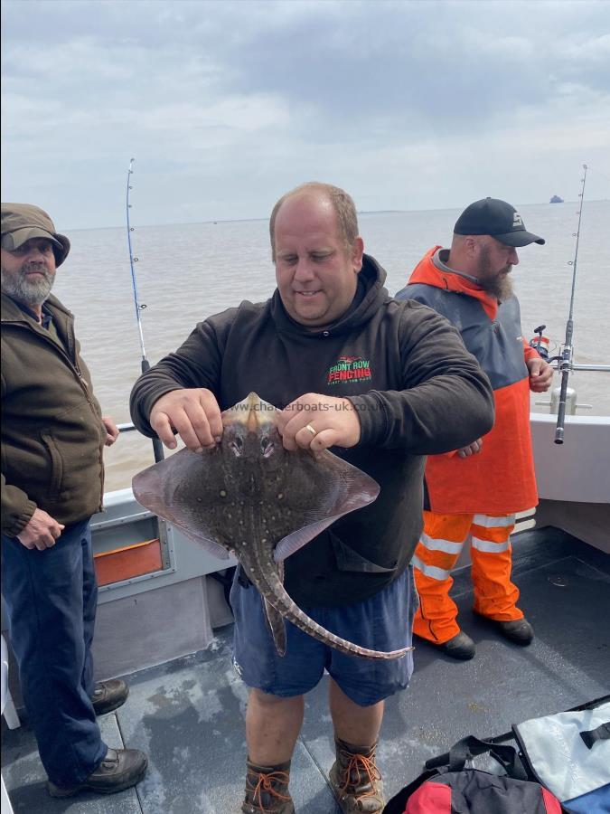 6 lb Thornback Ray by Unknown