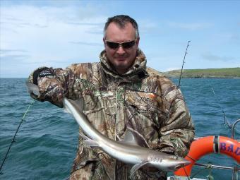 5 lb 6 oz Smooth-hound by Unknown