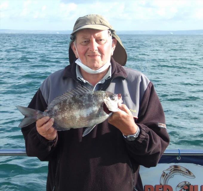 2 lb 12 oz Black Sea Bream by Bruce Dellow