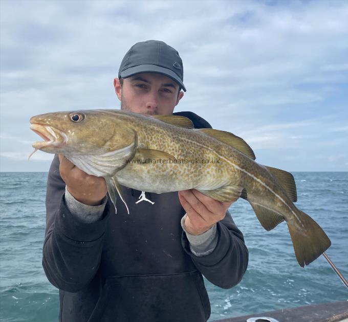 7 lb Cod by Unknown