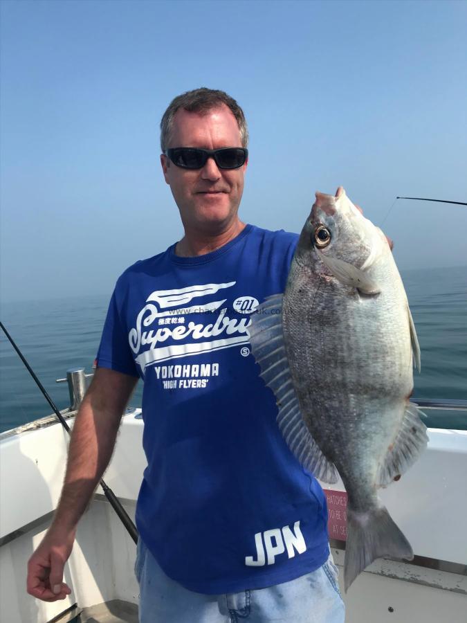 3 lb 11 oz Black Sea Bream by Unknown