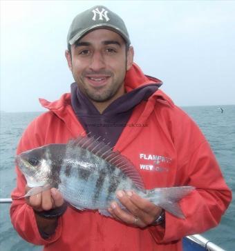 3 lb 8 oz Black Sea Bream by Antonnio Comparetti