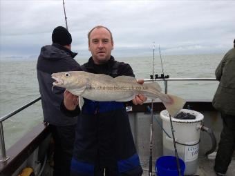 5 lb Cod by Baldy Padders