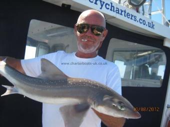 5 lb Starry Smooth-hound by Unknown