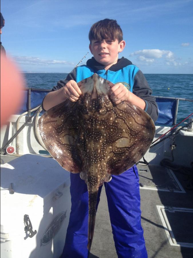 12 lb Undulate Ray by Zac