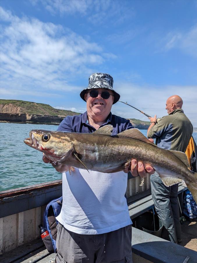 6 lb 2 oz Pollock by Unknown