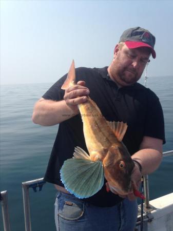 4 lb 4 oz Tub Gurnard by Graham