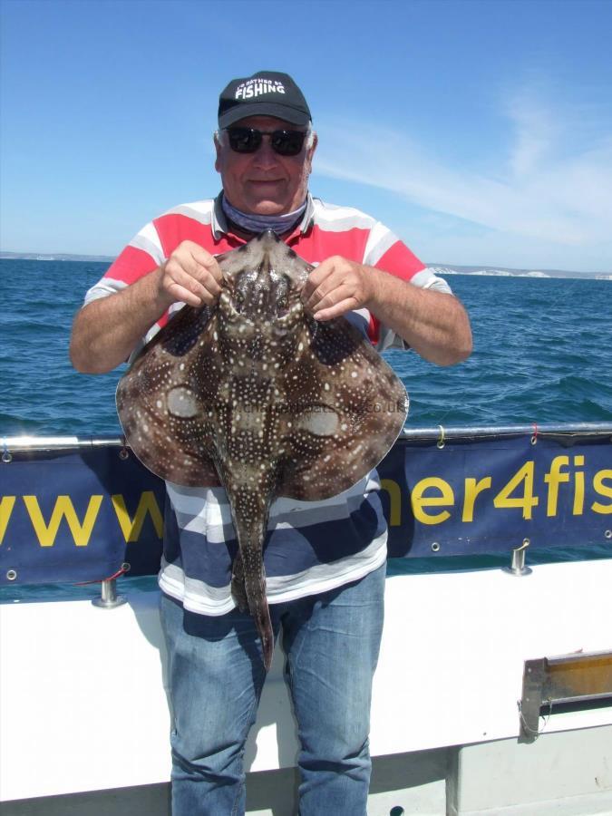 9 lb 12 oz Undulate Ray by Peter Lockwood
