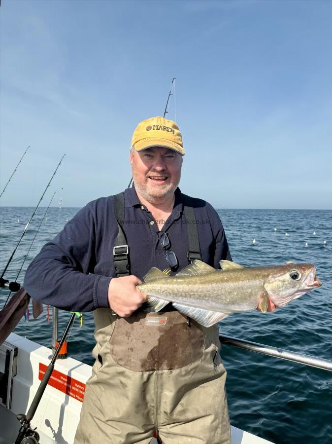 3 lb 8 oz Pollock by Charlie Hewitt