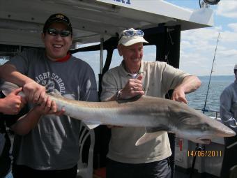 35 lb Tope by Unknown