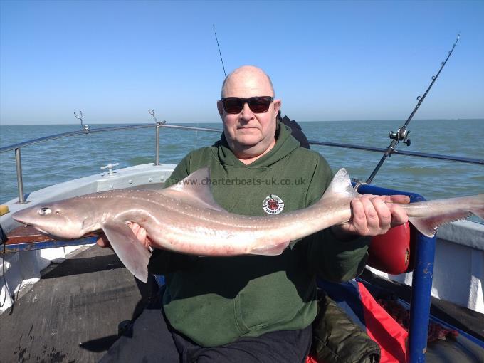 10 lb Starry Smooth-hound by Tim