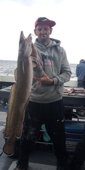 15 lb 8 oz Ling by Unknown