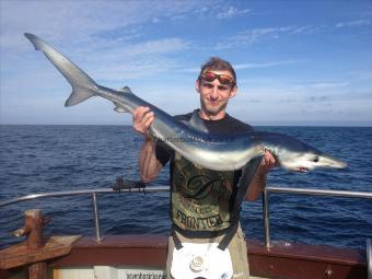 30 lb Blue Shark by Gavin J