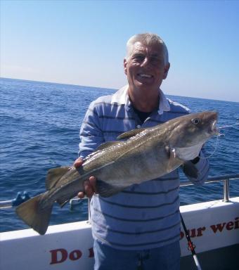 10 lb Cod by Terry