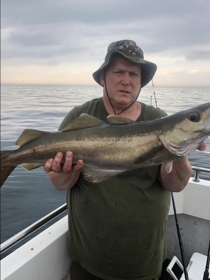 9 lb 8 oz Pollock by Unknown