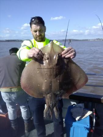 15 lb 4 oz Blonde Ray by Scott