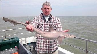 7 lb Starry Smooth-hound by Bob Marshall