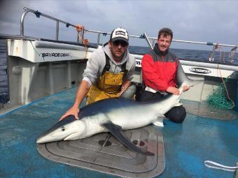 130 lb Blue Shark by Kevin McKie