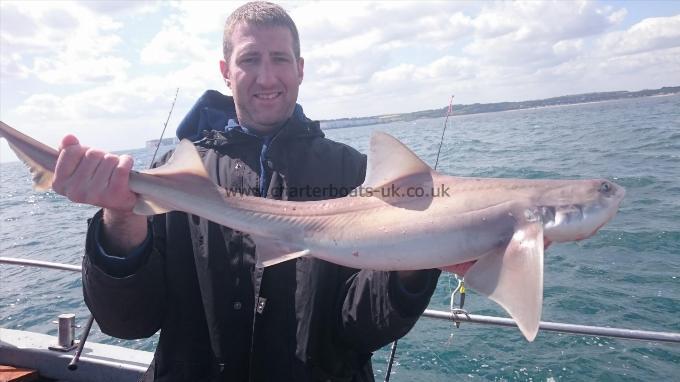 9 lb 9 oz Smooth-hound (Common) by Dave from Kent