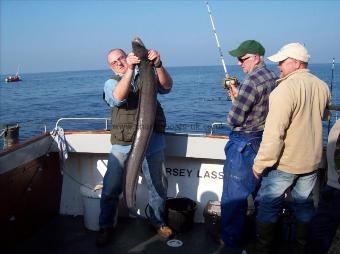 20 lb Conger Eel by Unknown