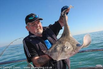 6 lb Thornback Ray by Dave