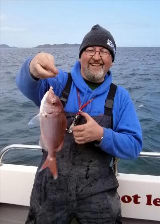 2 lb 3 oz Couch's Sea Bream by Paul