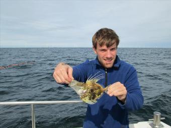 1 lb John Dory by Unknown