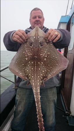10 lb 3 oz Thornback Ray by nick from London