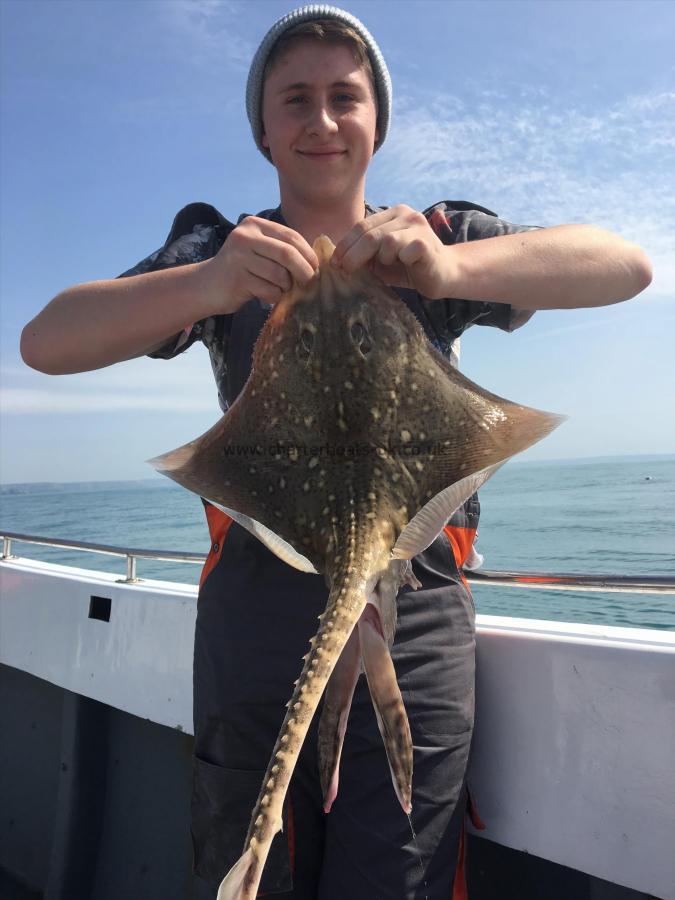 5 lb Thornback Ray by Cameron