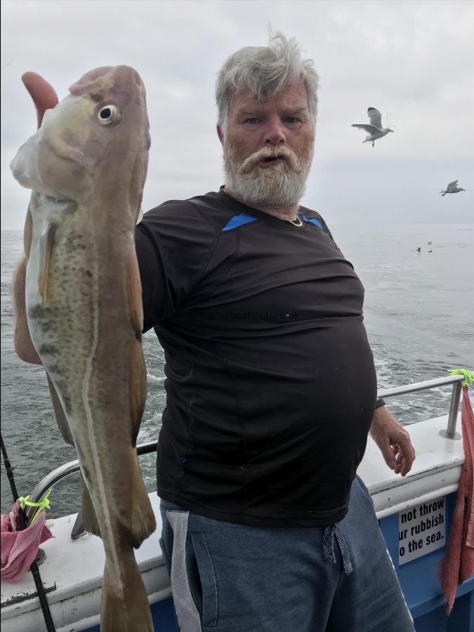 7 lb Cod by Alan from hull