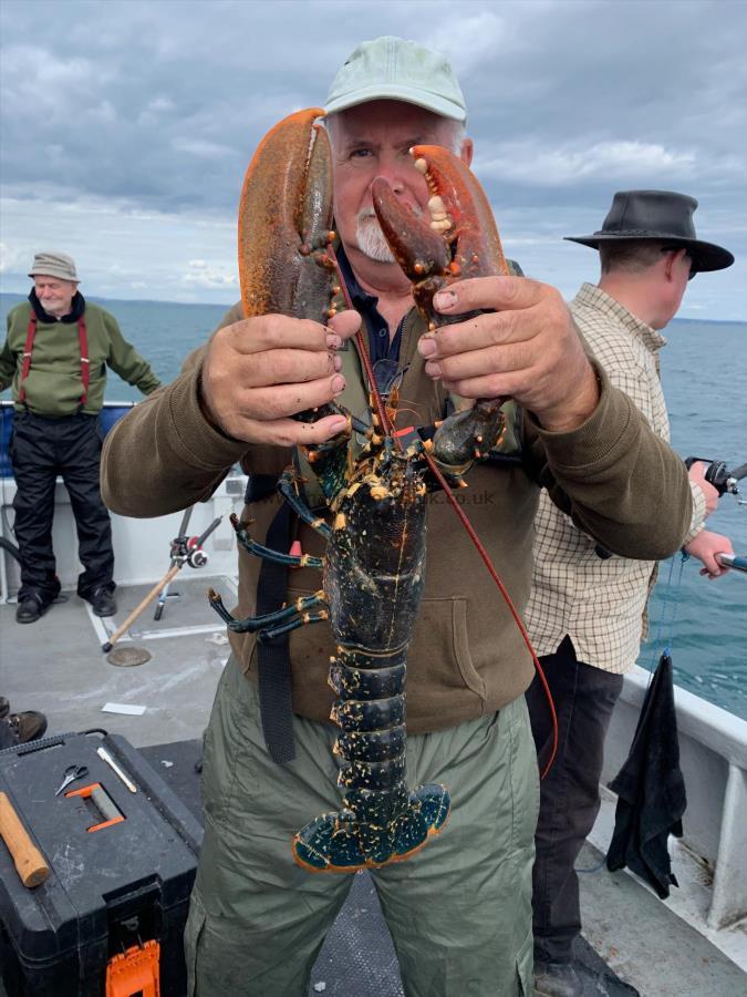 6 lb Lobster by Phil