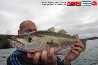 4 lb Pollock by Damien