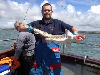 8 lb Bull Huss by Merthyr boys