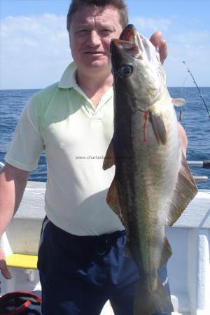 11 lb 4 oz Pollock by Peter