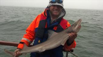 14 lb 4 oz Smooth-hound (Common) by Karl Howard
