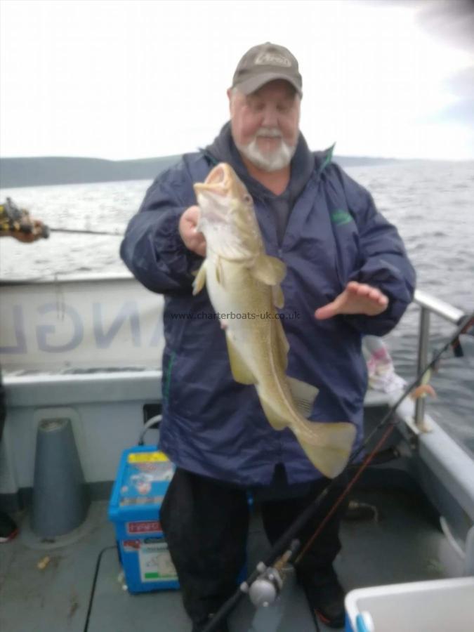 4 lb Cod by Unknown