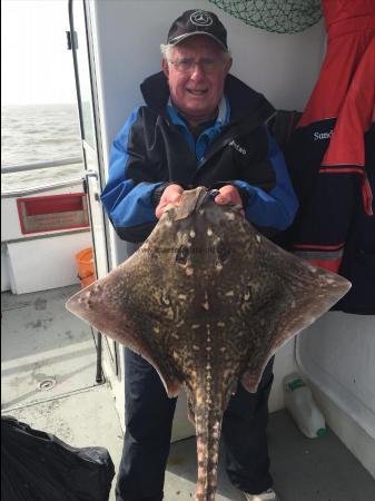 15 lb Thornback Ray by Unknown