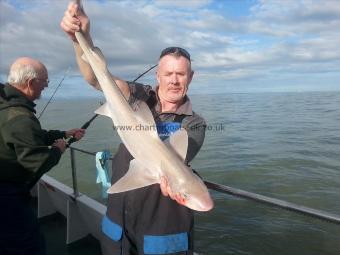 8 lb 3 oz Smooth-hound (Common) by dave