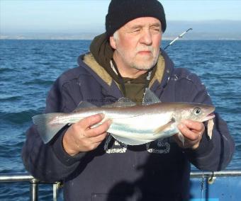 3 lb 6 oz Whiting by Jim Stone