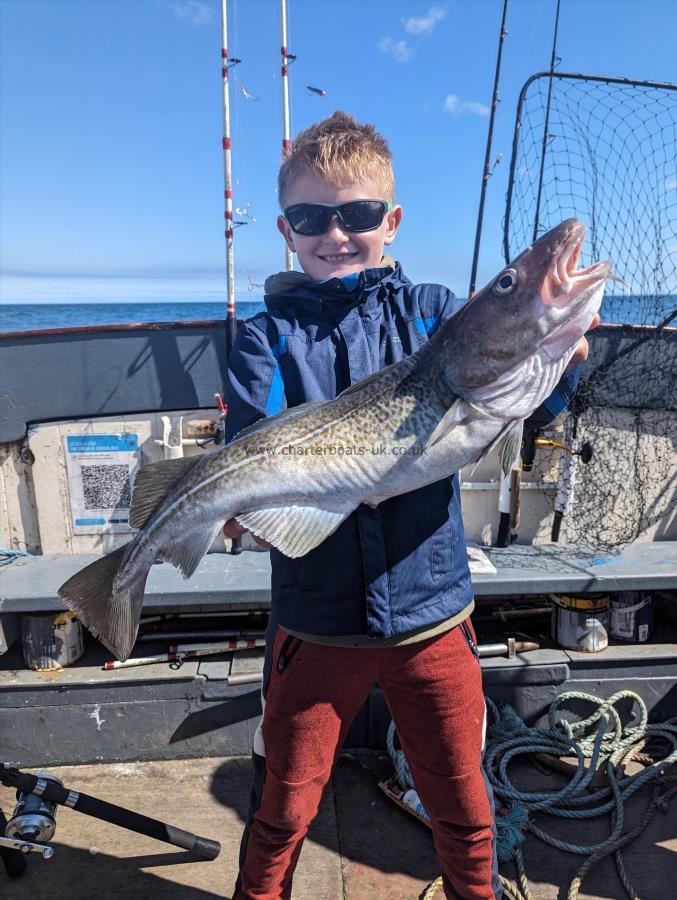 7 lb 3 oz Cod by Unknown