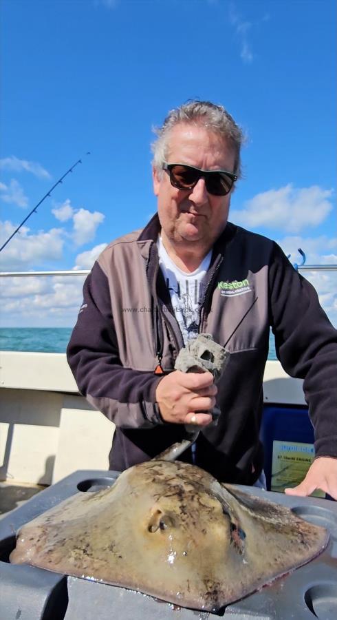 14 lb Stingray (Common) by Mark
