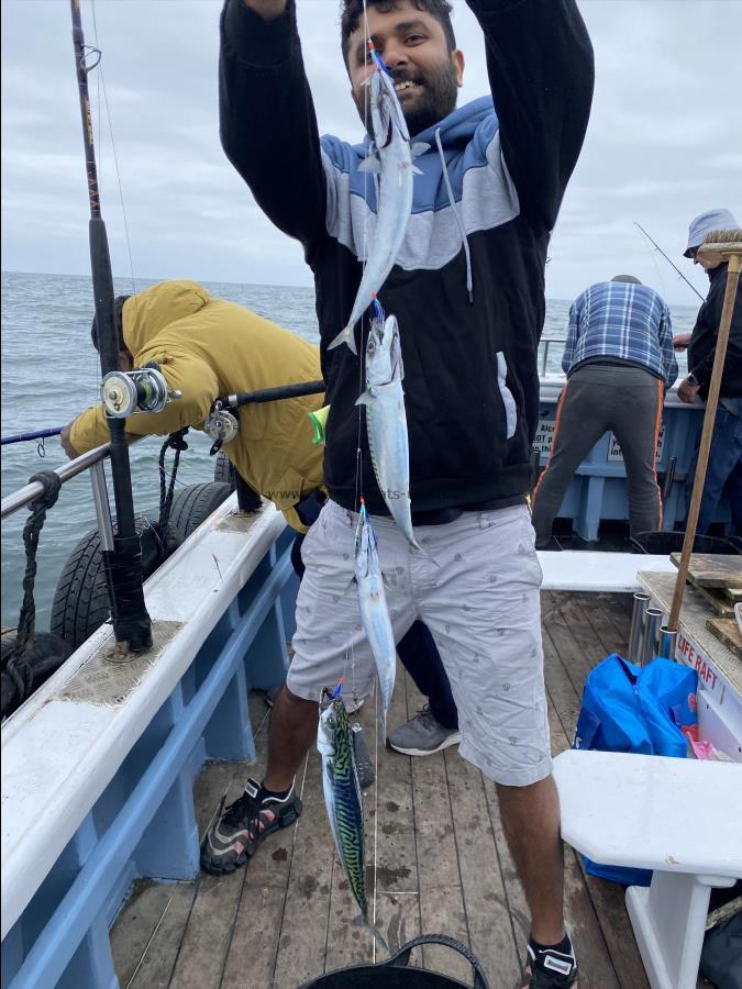 1 lb Mackerel by James first mackerels