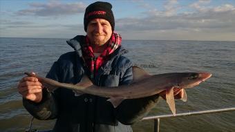 3 lb Starry Smooth-hound by Wayne from minster