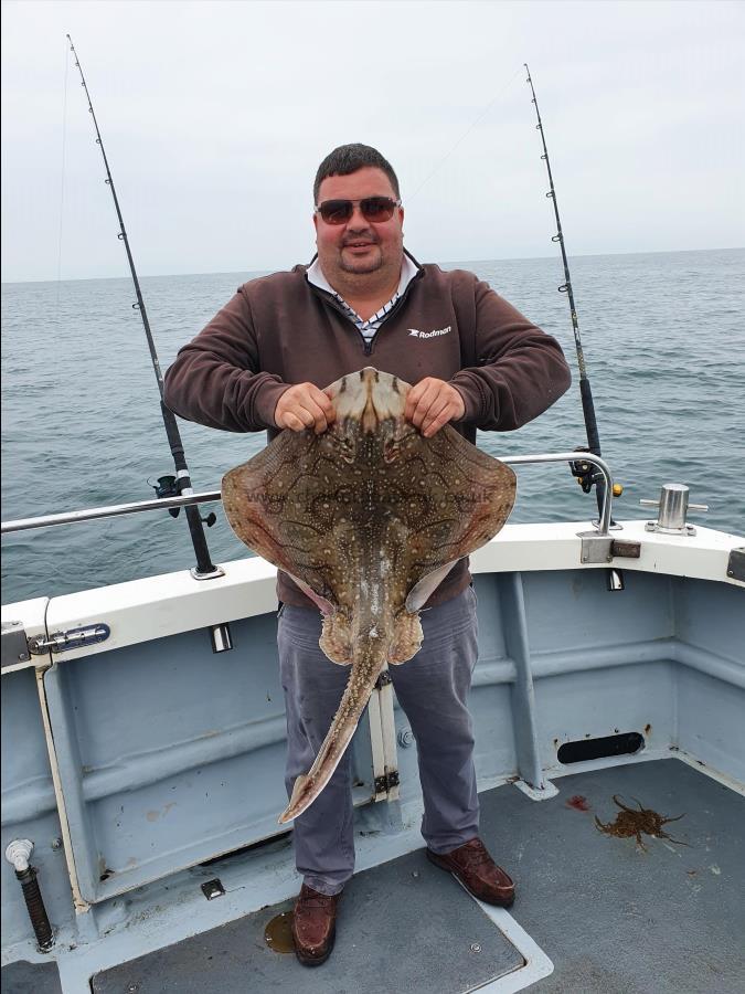14 lb Undulate Ray by Deano