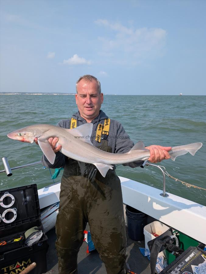 8 lb Smooth-hound by Bambi