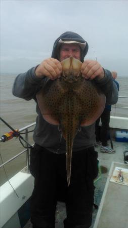 3 lb 8 oz Spotted Ray by simon